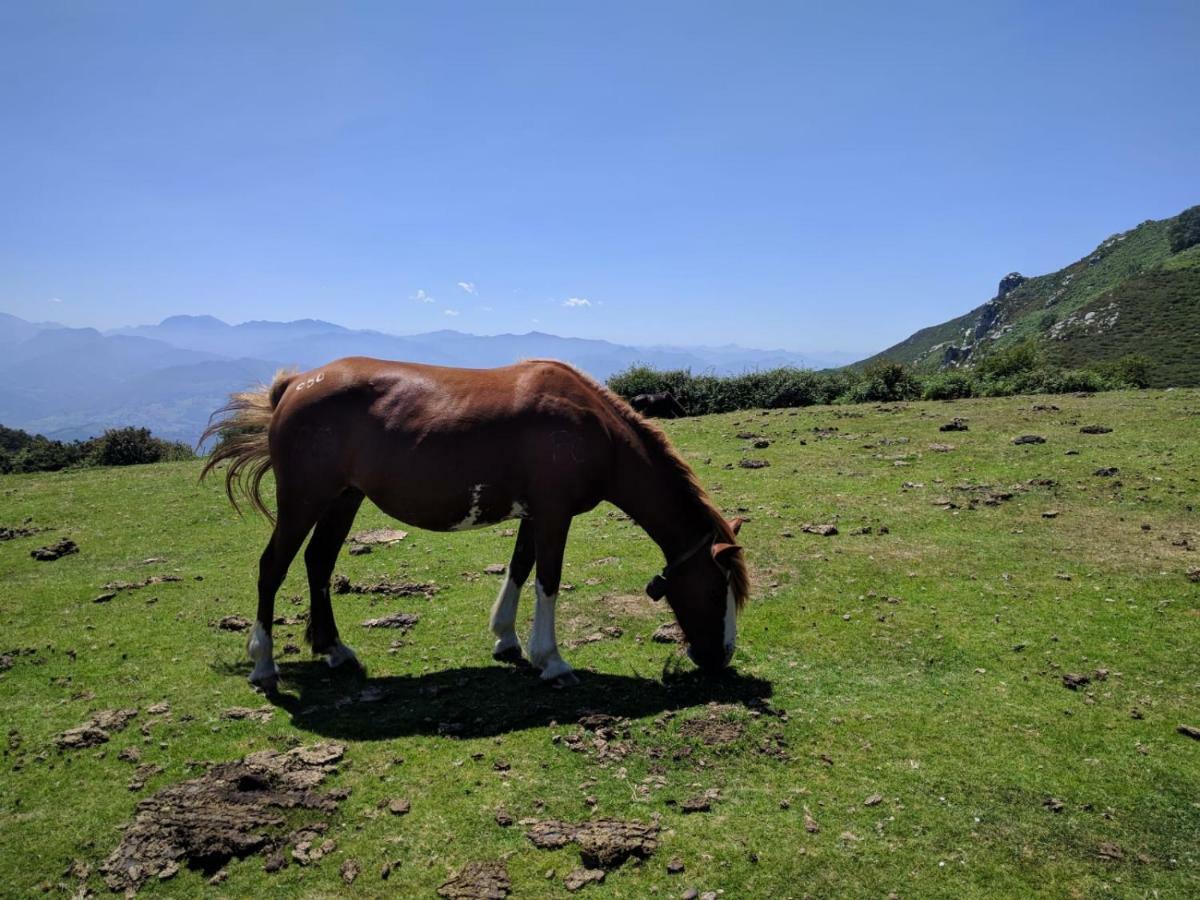 Hébergement de vacances La Quintana De Dona Leonor